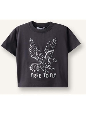 DeFacto Regular Fit Kartal Desenli Kısa Kollu Antrasit Tişört Erkek Bebek H8219A526HS