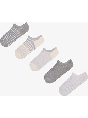 Penti Everyday Stripes 5'li Sneaker Çorabı Gri Renkli Yumuşak Dokulu Kadın Çorap Seti