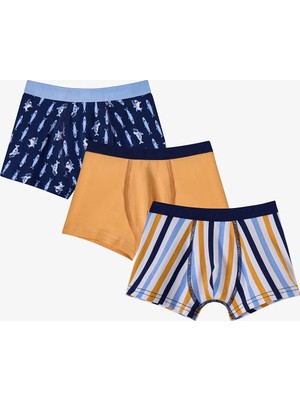 Penti Renkli Erkek Çocuk Sardines 3'lü Boxer