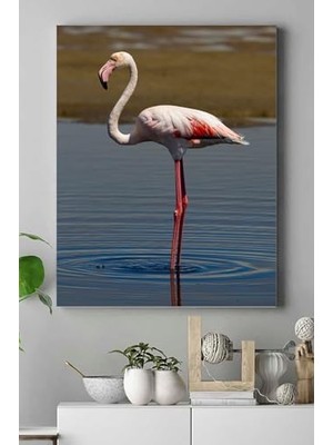Canarino (PSTER16031) Hayvan Kanvas Tablo 50 x 70