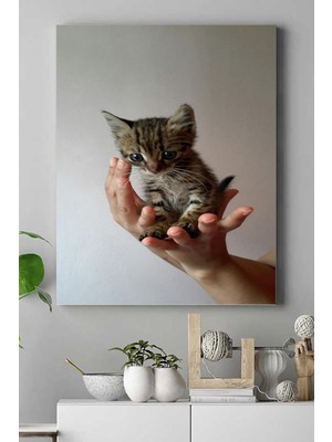 Canarino (PSTER16481) Kedi Hayvan Kanvas Tablo 4 30 x 40
