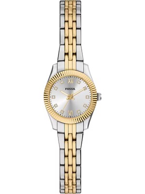 Fossil FES5473 Kadın Kol Saati