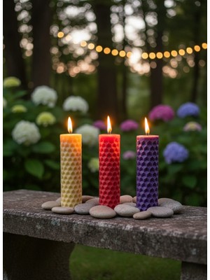 AY IŞIĞI MUMLARI Silindirik Petek 3'lü Hediyelik Dekoratif Hoş Kokulu Parafin Wax Mum (Kırmızı + Sarı + Mor Renkli)