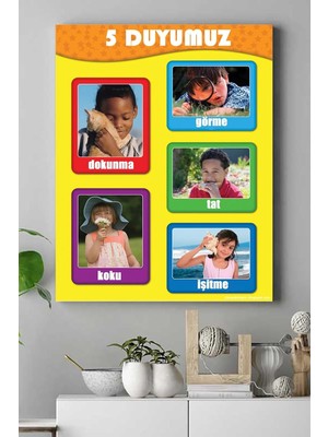 (PSTER14907) 5 Duyu Organı Eğitim Kanvas Tablo 50 x 70