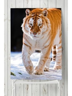 (PSTER5308) Kaplan Hayvan Posteri 60X90 cm