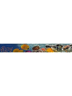 Prime Mutfak Tezgah Arası Folyo Kaplama Folyosu Kızıldeniz 60X300 cm
