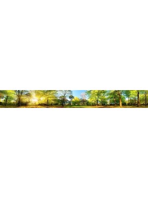 Prime Mutfak Tezgah Arası Folyo Kaplama Folyosu Manzarası 60X100 cm
