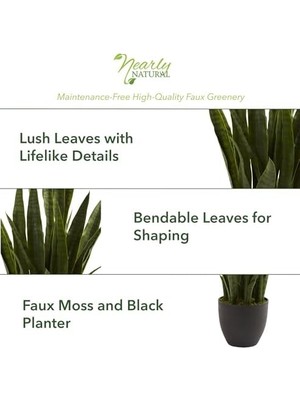 Prime Natural, Green 4855 Sansevieria Bitki Saksısı, 88,9 Cm, Siyah