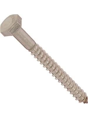 Prime The Group 832010 1/4 x 2-1/2-Inç Paslanmaz Çelik Altıgen Uçlu Vida, 25'li Paket