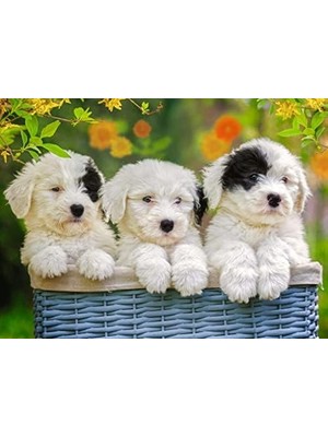 Prime 200 Parça Yapboz Puppies
