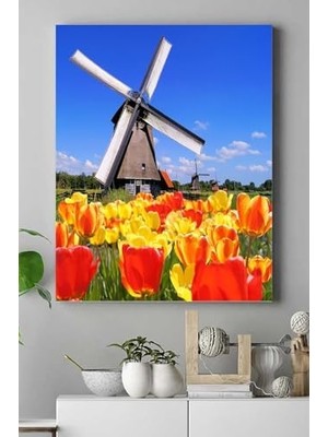 Prime (PSTER16222) Hollanda Manzara Kanvas Tablo 50 x 70