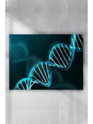 Prime (PSTER3922) Dna Bilimsel Poster (70X100CM)