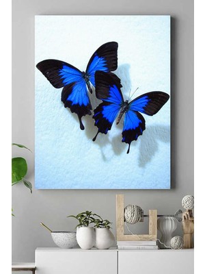 Prime (PSTER16575) Kelebek Hayvan Kanvas Tablo 50 x 70