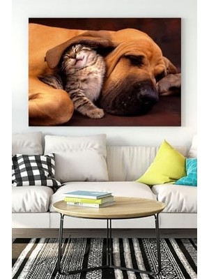 Prime (PSTER16510) Kedi ve Köpek Eğlenceli Mizahi Kanvas Tablo 40 x 60
