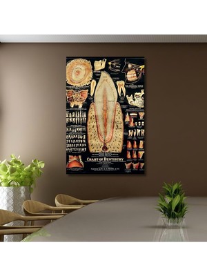 Prime Tekli Dikey Kanvas Diş Poliklinik Tablosu Diş Yapısı Poster, 30 x 40