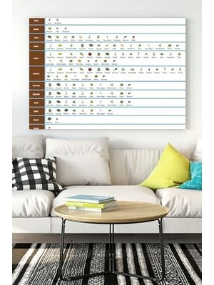 Prime (PSTER15123) Aylar ve Sebzeler Eğitim Kanvas Tablo 40 x 60