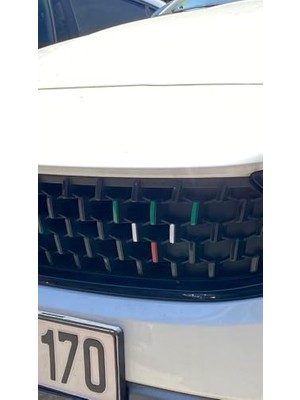 Vuralsin38 Egea Uyumlu Amblem/logo Kaplama Italyan Set