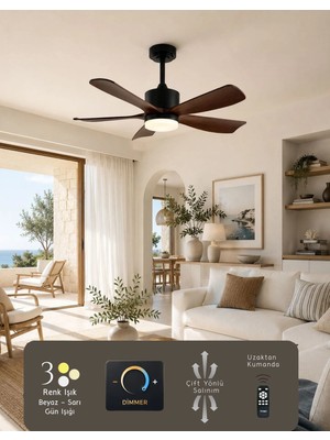Hoogar German Brown+Black 2026 Yeni Compact Tasarım 105 cm 5 Kanatlı Dc Sessiz Motor Tavan Vantilatörü Dim Ayarlı