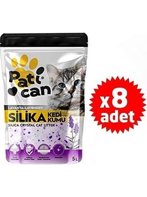 8 Adet Lavanta Silika Kristal Kedi Kum 5lt