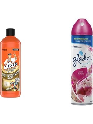 Mr Muscle Banyo Tüm Boru Tipleri Için Jel Lavabo Açıcı 1000 Ml, Glade Aerosol Aşkın Büyüsü Oda Kokusu 300 ml ve Mr Muscle Aqua Blue 2'li Klozet Bloğu