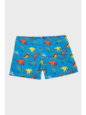 Slipstop Austin Desenli Normal Bel Boxer Mayo Short Erkek Çocuk Mayo Short SR2631000009