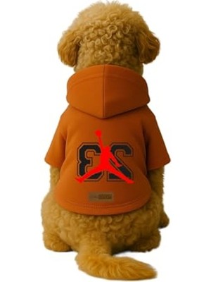 Die Grup Baskılı Içi Polarlı Köpek ve Kedi Kıyafeti & Elbisesi - Turuncu Renk Kapüşonlu Hoodie B46A1, Xl