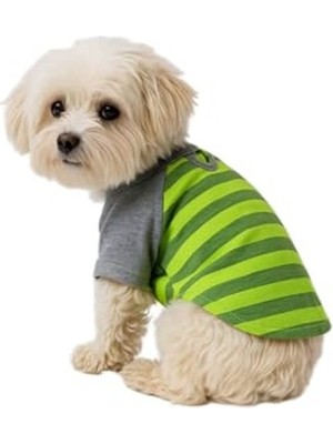 Die Grup Kedi ve Köpek Kıyafeti & Elbisesi Yeşil Gri T Shirt Xl