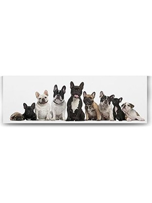 Vuralsin38 Fransız Bulldog Ailesi Tablosu - 120X40CM