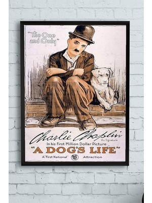 Vuralsin38 (PSTER10829) A Dogs Life Hayvan Çerçeveli Tablo Film Afişi (21X30CM)