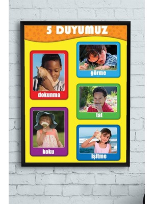 Vuralsin38 (PSTER9721) 5 Duyu Organı Eğitim Çerçeveli Tablo (40X50CM)