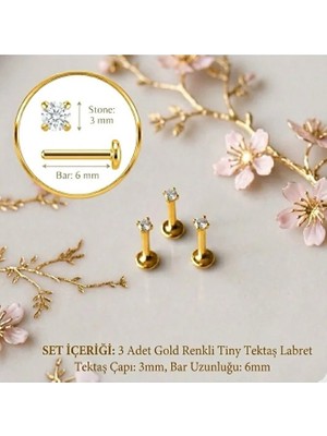 Heppii 3 Adet Mini Tektaş Cerrahi Çelik Piercing Tragus Helix Kıkırdak Conch Gold-Gümüş Renk 6 mm 3 mm Taş