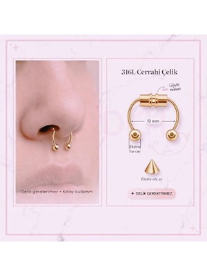 Heppii Deliksiz 316L Cerrahi Çelik Burun Piercing Güçlü Mıknatıs Fake Septum Delik Gerektirmez Kulak Takı