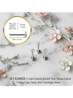 Heppii 3 Adet Mini Tektaş Cerrahi Çelik Piercing Tragus Helix Kıkırdak Conch Gold- Gümüş Renk 8 mm 3 mm Taş