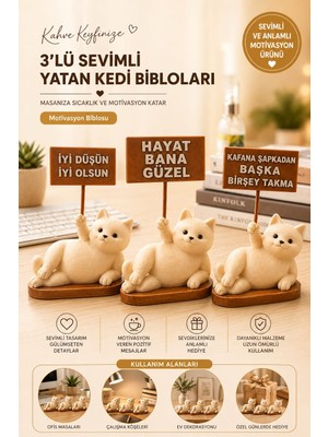 Lumis Home 3'lü Motto Kartlı Kedi Biblo Seti - Dekoratif Figür