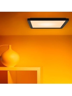 Wiz Akıllı Tavan Lambası – Ince Kare Tasarım, Birden Fazla Boyut, Ses/uygulama Kontrolü, Zaman Planlama,, Amazon Alexa ve Homekit ile Çalışır, Iç Aydınlatma, Siyah/beyaz