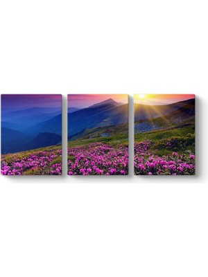 Mabelme Kır Çiçekleri Duvar Tablosu 126 x 55-3 Parçalı