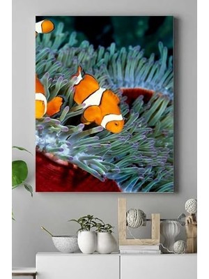 Mabelme (PSTER15141) Balık Hayvan Kanvas Tablo 50 x 70
