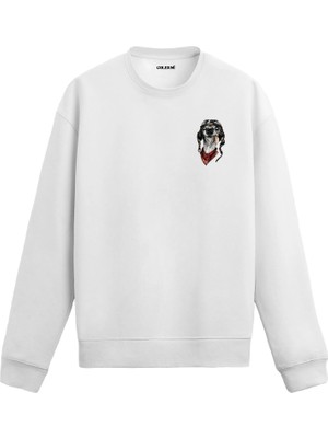 Colermi Pilot Köpek Sweatshirt —