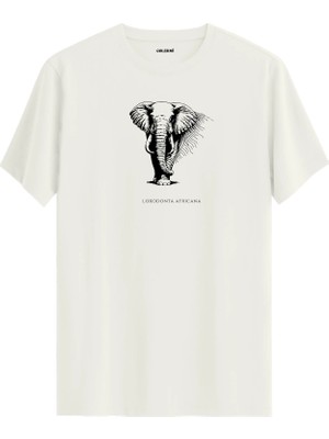 Colermi Dev - Loxodonta Africana —