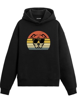 Colermi Retro Pitbull Hoodie —