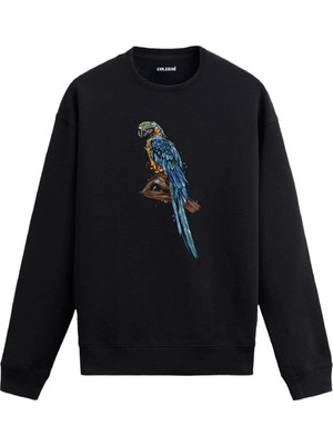 Colermi Papağan Baskılı Sweatshirt