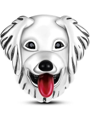 Fubena Gülümseyen Köpek Charm