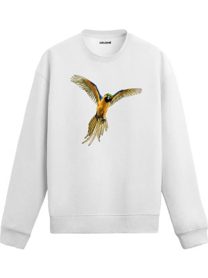 Colermi Dinamik Papağan Baskılı Sweatshirt