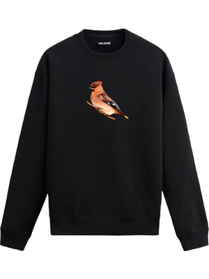 Colermi Zarif Kuş Baskılı Sweatshirt