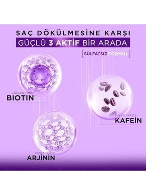Defne Store Biotin Kafein Arjinin Şampuan – Saç Dökülmesine Karşı Güçlü Bitkisel Formül, Sülfatsız, Bıocomplex B19 Ile, 400 ml (2 Paketi)
