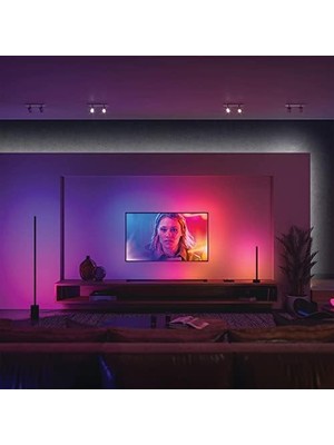 Defne Store Hue Gradient Signe Akıllı LED Zemin Işığı, Lambader, Siyah