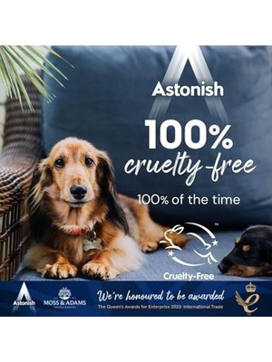Defne Store Astonish Koltuk ve Halı Temizleyici Sprey 750 ml