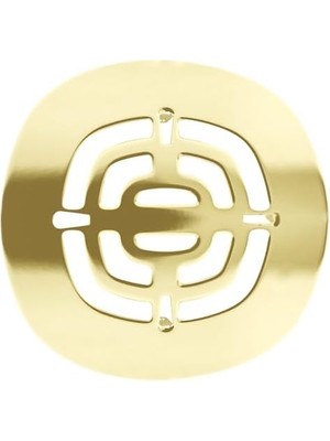 Vuralsin38 Westbrass Pirinç Geçmeli Duş Süzgeci Izgarası, Cilalı Pirinç, D316-03
