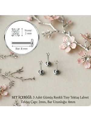 Heppii 3 Adet Mini Tektaş Cerrahi Çelik Piercing Tragus Helix Kıkırdak Conch Gold - Gümüş Renk 8 mm 2mm Taş
