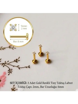 Heppii 3 Adet Mini Tektaş Cerrahi Çelik Piercing Tragus Helix Kıkırdak Conch 6 mm 2mm Taş